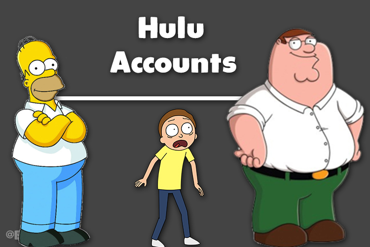 Hulu Accounts | HD | No ADS | Subscribed to many things