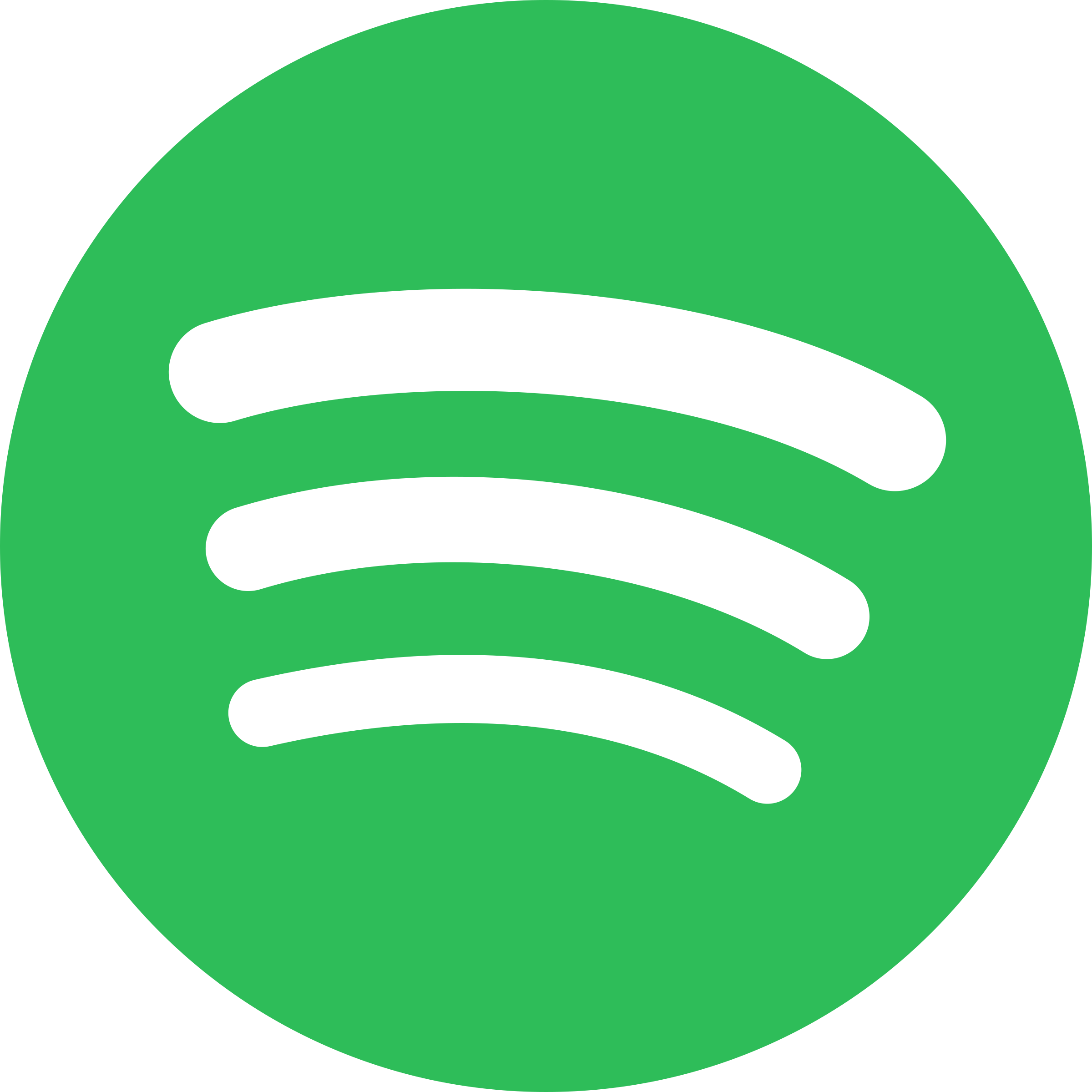 Spotify Premium(Family Owner)