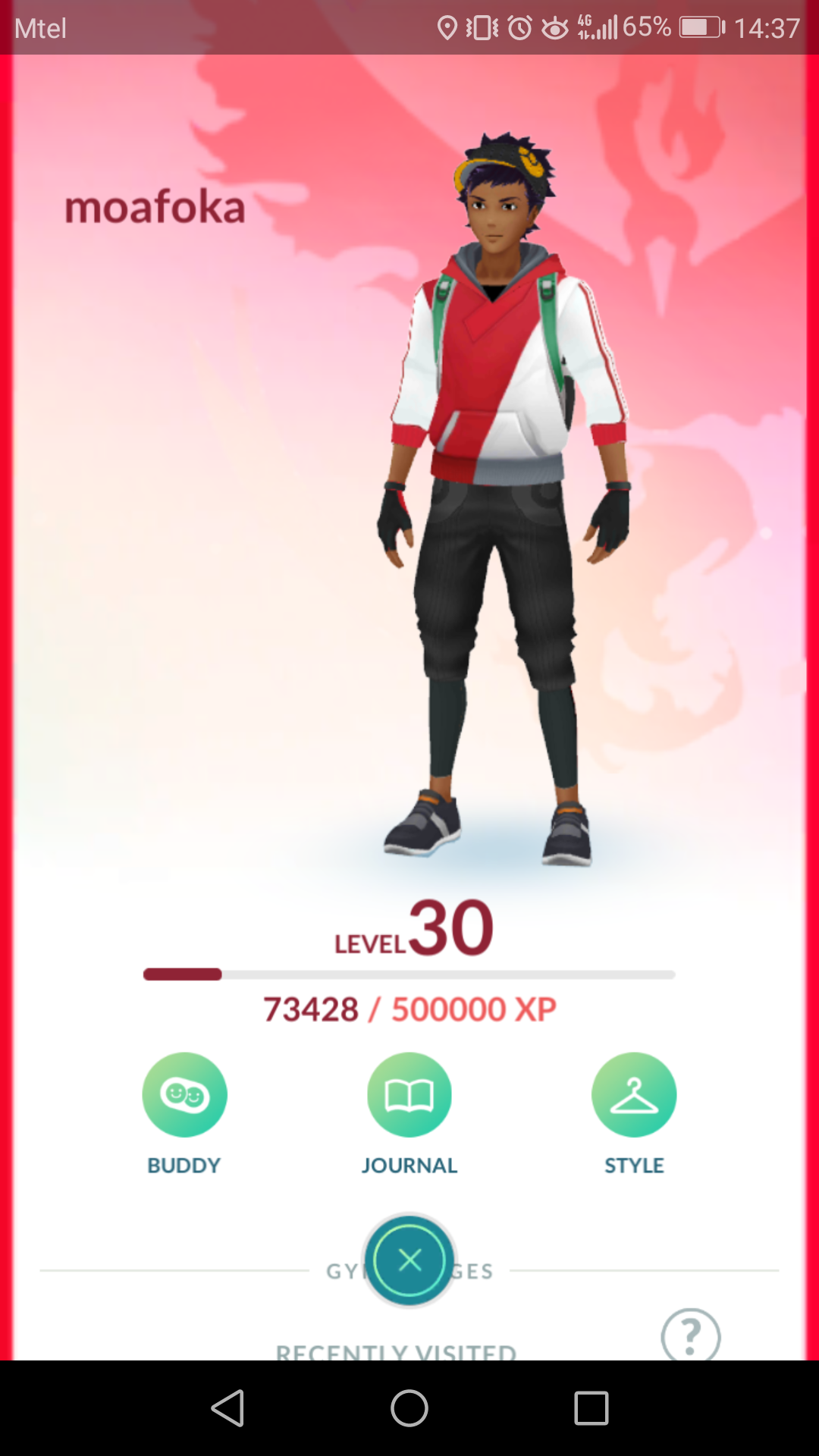 Pokemon GO Main Account lvl30