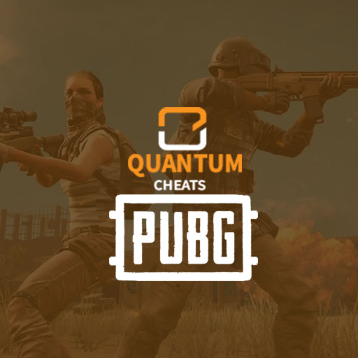 Quantum Cheats - 24 Hour PUBG Code