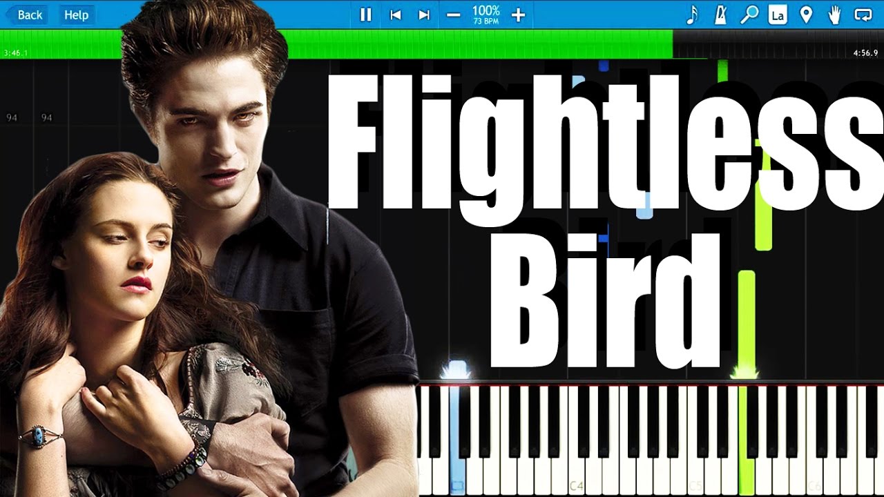 Flightless Bird (American Mouth )