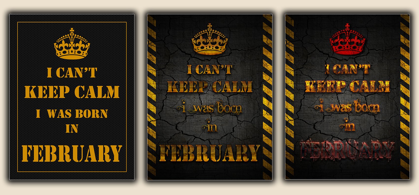 I Can't Keep Calm - I was Born in February
