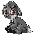 DN Grey Ixi (XxxxXxxx)