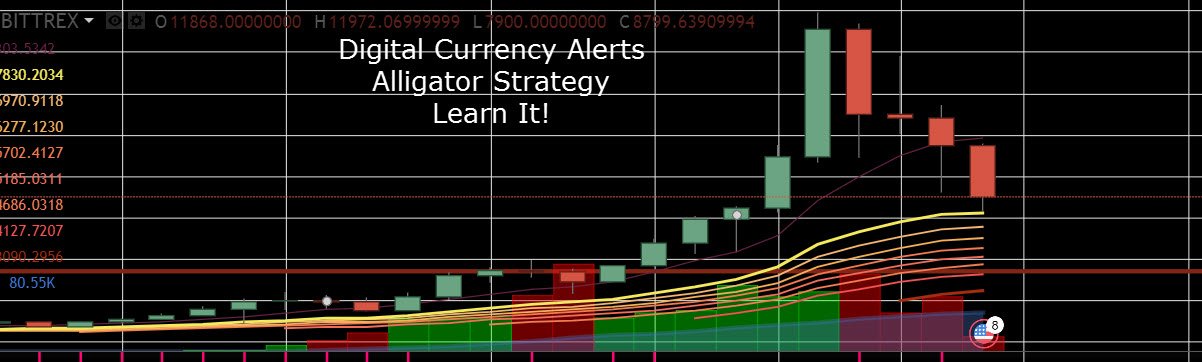 Alligator Strategy & Trade Management - 2hr Video Course