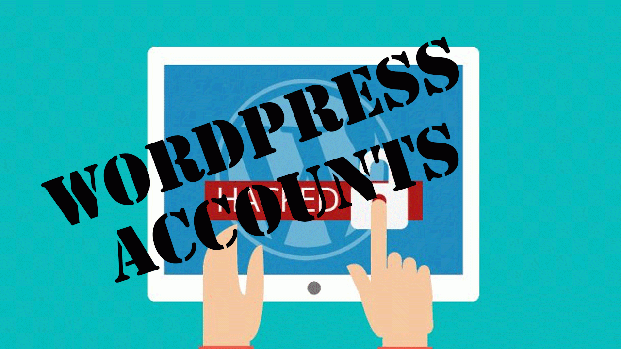 Wordpress Accounts Shop