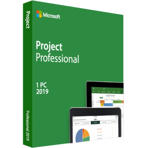Project 2019 Prof. Plus for Windows - License(1PC)+Software